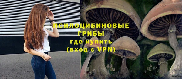 твердый Арсеньев