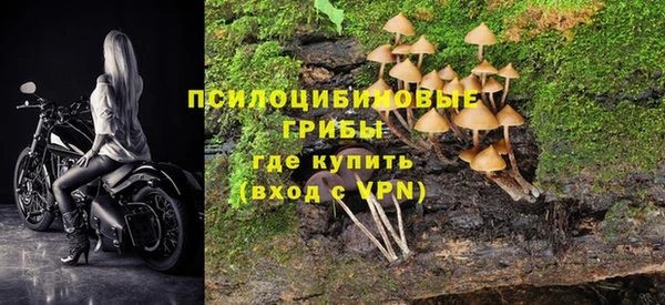 соль ск Аркадак